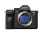 Sony-Alpha-a7S-III-Mirrorless-Digital-Camera-Body-Only